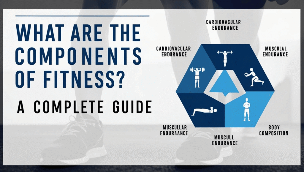 What are the components of fitness